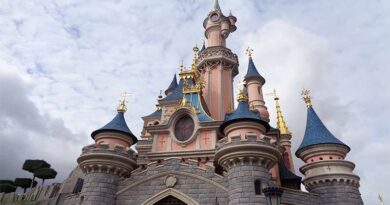Castelo da Bela Adormecida para ver ao comprar ingresso Disney Paris