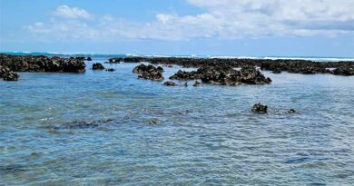 Recifes de Corais na praia de Maragogi