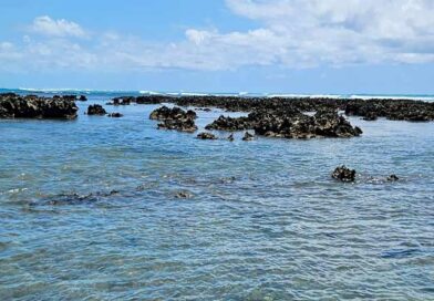 Recifes de Corais na praia de Maragogi